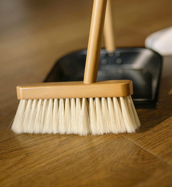 Cleaning Wood Floor