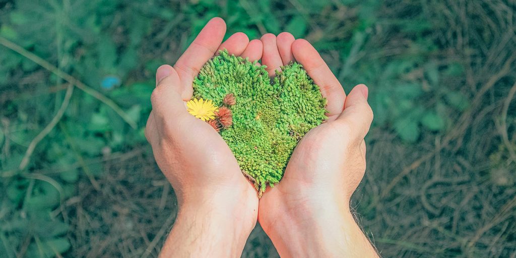 Sustainably-sourced-wood-flooring-PEFC-wood-flooring-certification